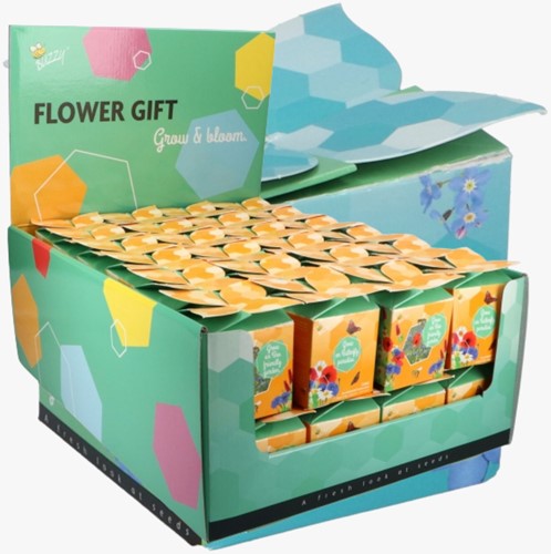 Buzzy Flower Gift Insects Flower Mix - Miscela per insetti (Espositore a 48x)