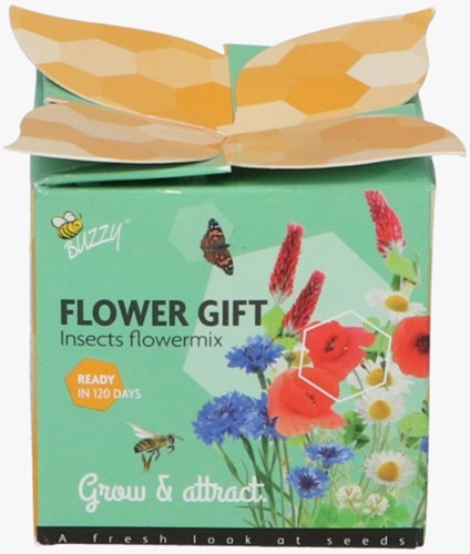 Buzzy Flower Gift Insects Flower Mix - Miscela per insetti (1 confezione regalo)