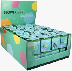 Buzzy Flower (display 48x) Gift Nontiscordardime - Myosotis