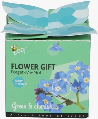 Buzzy Flower Gift Nontiscordardimé - Myosotis (1 confezione regalo)