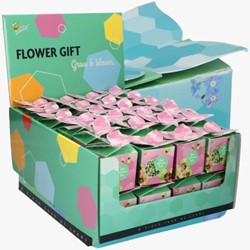 Buzzy Flower Gift (display 48x) Quadrifoglio – Trifolium