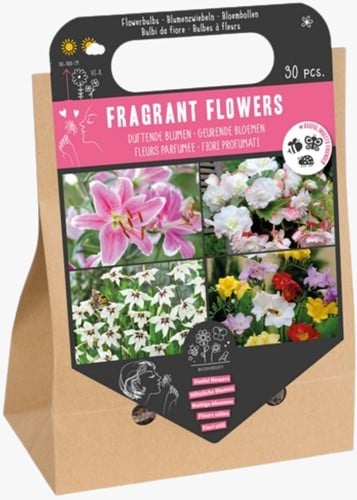 Borsa di Fiori Profumati - Bulbi da Fiore