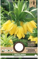 Fritillaria imperialis Lutea - Keizerskroon-2