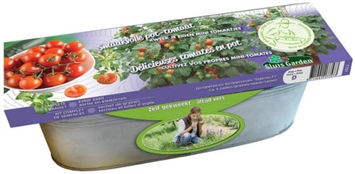 Kit Pomodoro Siderno F1 (pomodoro da vaso)