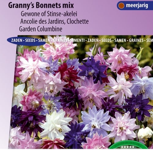 Aquilegia Granny's bonnets mix - Colombina