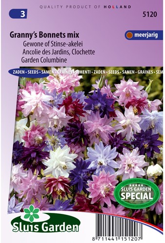 Akelei Granny's Bonnets mix - Aquilegia-2