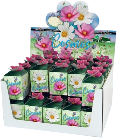 Greengift, Cosmos Mix 40 pezzi in Espositore