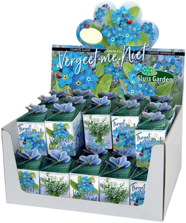 Greengift, Nontiscordardimé (Myosotis) Mix 40 pezzi in Espositore