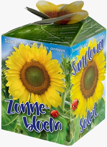 Sunflower Greengift