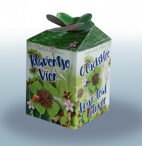 Lucky four leaf clover Greengift