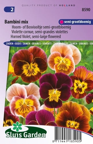 Viola Cornuta Bambini Mix