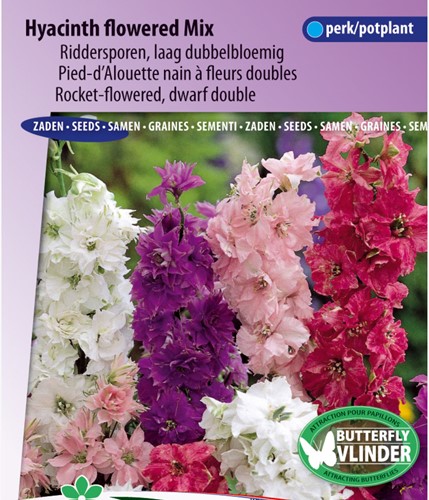 Speronella fior-di-giacinto - Delphinium