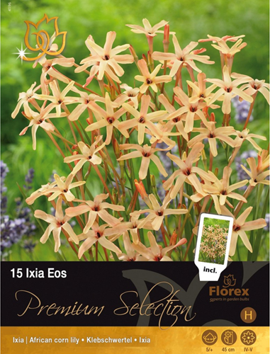 Ixia Eos