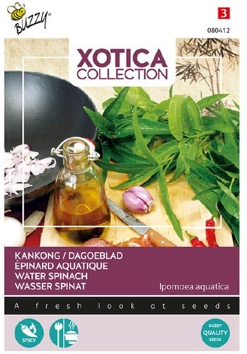 Kangkong o Spinaci d’Acqua - Xotica Collection