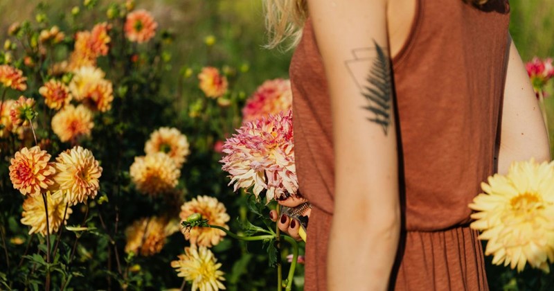 Bulbi di dalia – tra le più belle fioriture estive