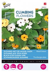 Suzanne met de mooie ogen Kleuren mengsel - Climbing Flowers