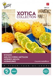 Selezione di semi per ortaggi dal mondo: Kiwano (Cucumis metuliferus)