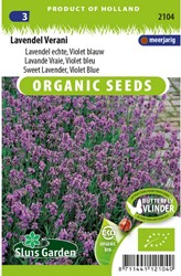 Lavanda blu 'Verani' EKO - Lavandula (sementi biologici)