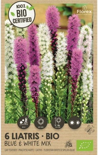 6 Liatris BIO blue & white mix - Liatride mix blu e bianco