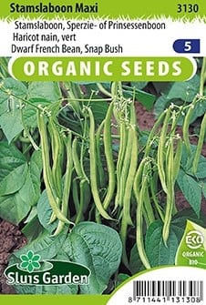 Fagiolo Nano Maxi EKO - Phaseolus Vulgaris
