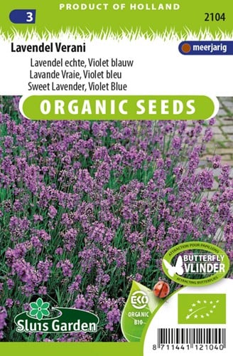 Lavanda blu 'Verani' EKO - Lavandula (sementi biologici)