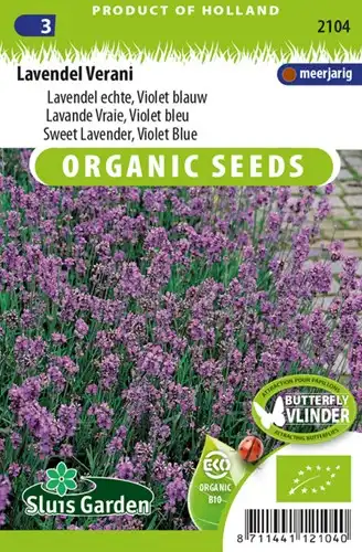 Lavanda blu 'Verani' EKO - Lavandula (sementi biologici) - 100 Semi