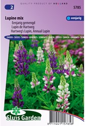 Lupinus mix, annuale - Sluis Garden