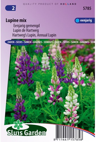 Lupinus mix, annuale - Sluis Garden