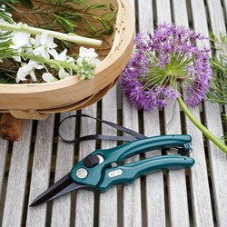 Forbici da fiorista RHS – Burgon & Ball