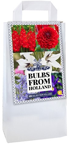 Selezione bulbi da fiori Olandesi Delfts Blauw