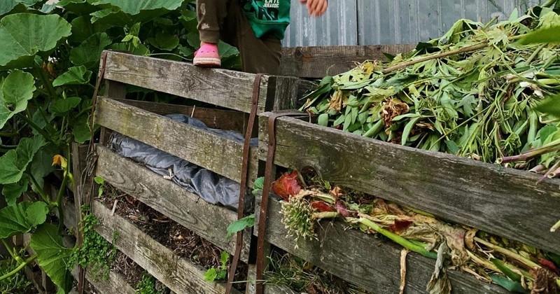 Lavori in giardino a febbraio con Modeste Herwig – potare con calma e preparare la primavera in arrivo