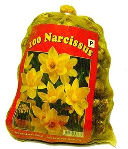 Narcisi Fantasia Mix - Narcissus Confezione XL