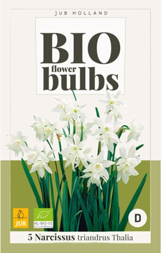 Narcissus Thalia – Daffodils BIO