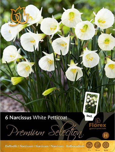 Narciso White Petticoat - Narcissus