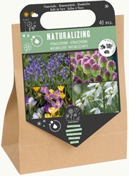 Kit bulbi da naturalizzare – 40 bulbi