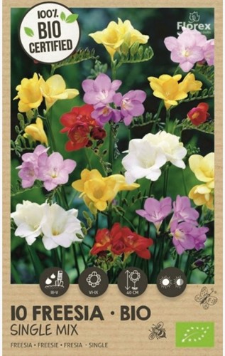 Assortimento Freesia 'Double Mix' (Bulbi Biologici)