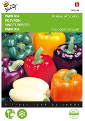 Peperone Mix di 5 colori - Capsicum annuum