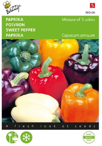 Peperone Mix di 5 colori - Capsicum annuum