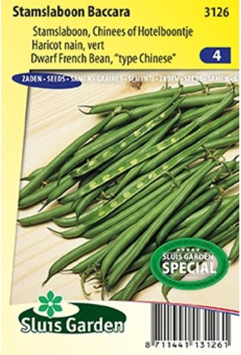 Fagiolo Nano Baccara - Phaseolus Vulgaris