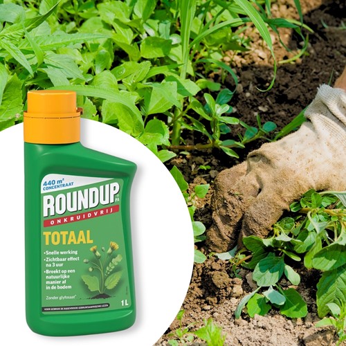 Roundup PA Totaal Concentrato 1 L