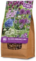 Allium Ambiance XXL - Sierui