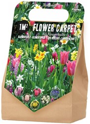 Collezione di bulbi Bohemia 1 m² - 50 bulbi di fiore piantagione a strati (lasagna di bulbi)