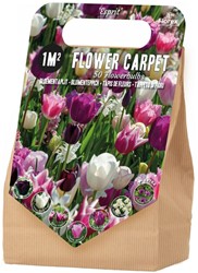Collezione di bulbi Esprit 1 m² - 50 bulbi di fiore