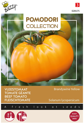 Semi di pomodoro: Grappa Gialla