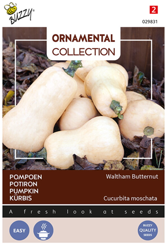 Selezione di Semi Ortaggi Ornamentali: Zucca 'Waltham Butternut'