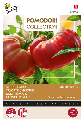 Semi di pomodoro: Bistecca F1
