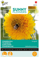 Girasole 'Sungold' (Helianthus annuus)