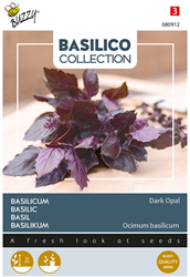 Basilico Violetto Aromatico (Ocimum Basilicum)