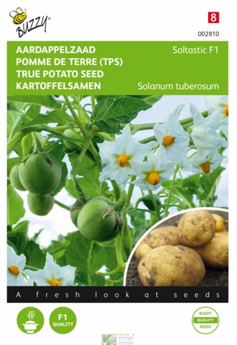 Semi di Patata Soltastic F1 - Solanum tuberosum