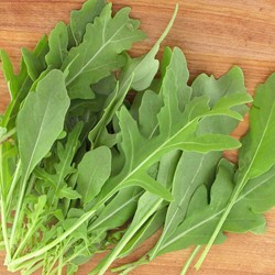 Rucola Rocky Wild EKO -Semi Biologici